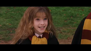 Harry Potter and the Sorcerer's Stone (2001) -  Nicholas Flamel Scene