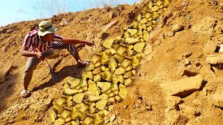 wow wow amazing day! gold miner found a lot of gold treasure under stone million years