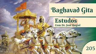 Estudo da Bhagavad Gita nº 205