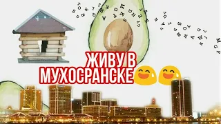 Немного обо мне /"Живу в мухосранске"😂