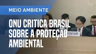 ONU CRITICA RETROCESSO AMBIENTAL DO BRASIL E EUA