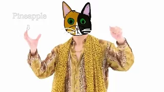 PPAP: Pen-Pineapple-Apple-Pen ペンパイナッポーアッポーペン | feat. CAT