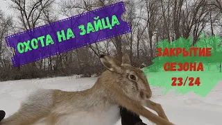 Охота на зайца🐰 Закрытие сезона 23/24