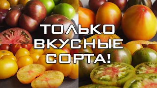 ЛУЧШИЕ ТОМАТЫ 2023 ГОДА. 5 ВКУСНЫХ СОРТОВ