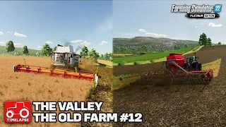 HARVESTING AND SOWING CANOLA!! [The Valley The Old Farm] FS22 Timelapse # 12