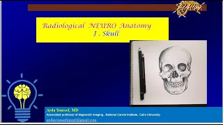 1. skull anatomy