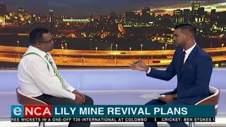 Lily Mine revival plans