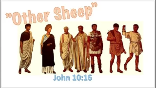 Jehovah's Witnesses. "Other Sheep" "144,000"John 10:16, Who goes to heaven?