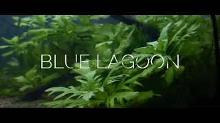 The blue lagoon Prt. ll