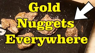 FINDING GOLD NUGGETS EVERYWHERE !!! Monster Pocket of Gold - ask Jeff Williams