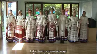 «Песня крокодила Гены» (La canzone del coccodrillo Gena), Lucinushka 2014