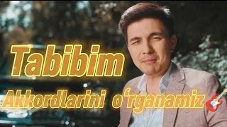 TABIBIM qo‘shig‘i Akkordlari va boylarini 🎸 da o‘rganamiz!!! 👍🏼bosamiz do‘stlar!!!