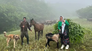 The Hardships of Nomadic life. Making a Place for Sheep in Heavy Rain