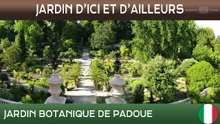 Jardins d'ici et d'ailleurs – Jardin botanique de Padoue - Italie - S/T Français