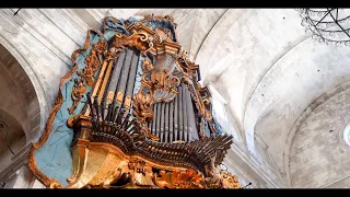 SPANISH TRUMPETS & The LARGEST Mixture in the World - Paul Fey plays the Organ in SANTANYI (Spain)