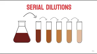 Serial Dilutions | Microbiology