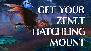 Get Your Zenet Hatchling Flying Mount