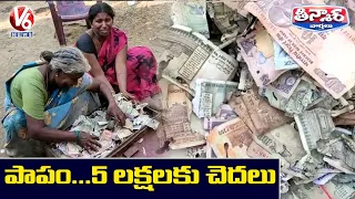 Termites Eat 5 Lakh Worth Currency Notes in Trunk Box | V6 Teenmaar News