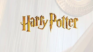 Hedwig‘s Theme - Harry Potter - Harp / Pedal Harp