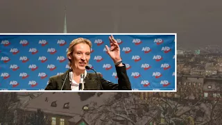 AfD-Parteitag in Hannover: Weidel und von Storch in Vorstand gewählt | tagesschau.de