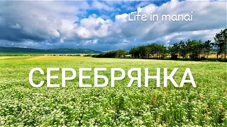 Серебрянка -  деревня в окружении прекрасных крымских  полей