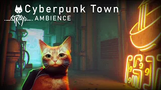 🎧AMBIENCE | Stray | Cyberpunk Town | For study, chill, sleep
