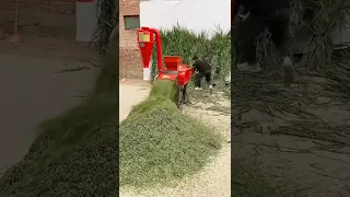 chaff cutter ,Silage chopper for animal feed making