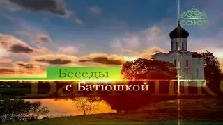 Протоиерей Димитрий Смирнов. Беседы с батюшкой (ТК «Союз», 24 ноября 2019 г.)