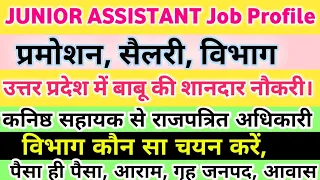 upsssc Junior Assistant Job Profile.| Salary | Promotion | Vibhag | upsssc|