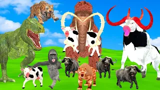 Giant Tiger vs 3 Big Bulls vs Monster Lion vs Dinosaur attack Cow Buffalo Saved by Mammoth Elephant