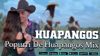 Mix de Huapangos 2024 ~ Popurri De Huapangos Chingones Mix ~ Para Bailar Zapateado