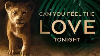 The Lion King - Can You Feel The Love Tonight | Evynne Hollens