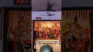 Dukho ra dukhi jagannath Bhajan #shots