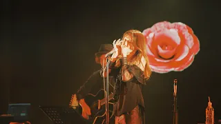 luki「朝日のあたる家」[Official Live Video]