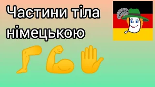 Частини тіла німецькою в асоціаціях. Kopf, Mund, Hals, Schulter, Bein, Po, Rücken, Körper... 👂👃🖐️👄🤡