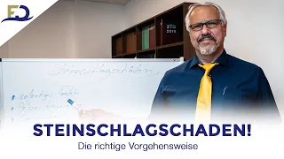 Steinschlag bei der Versicherung melden – so gehen Sie am besten vor (Tipps vom Fachanwalt)