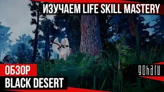 Black Desert - Изучаем Life Skill Mastery и готовимся к Дригану