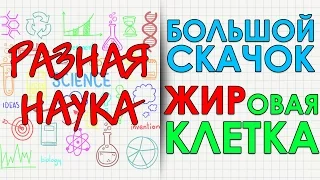 Большой скачок. Жир. Жировая клетка