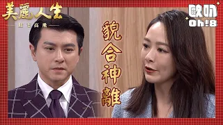 【美麗人生 壯志高飛】EP193｜淑瑛中信假面夫婦 各懷鬼胎｜美麗ㄟ精華｜Oh!8歐叭