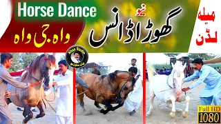 Amazing Horse dance ||mela ghulam shah luddan |ghora danc 2022 luddan vehari|khan studio