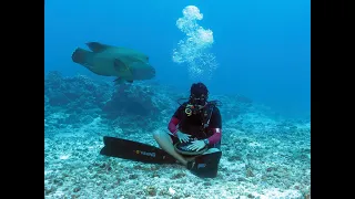 Underwater Handpan