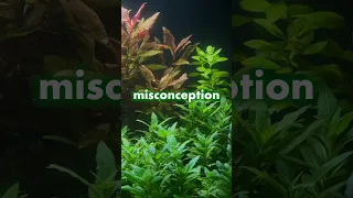 Minimize Aquarium Plant Melt - Biology