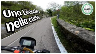 È divertente la 250??! | Benelli Leoncino 250 On Board |