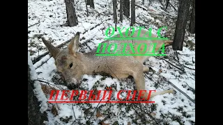 ОХОТА С ПОДХОДА ПЕРВЫЙ СНЕГ ОГРОМНЫЙ ГУРАН HUNTING FROM THE APPROACH OF THE FIRST SNOW HUGE GURAN