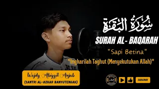 ‼️BACAAN AL - QUR'AN MERDU‼️WAJDY ABIYYIL ANJAB {SURAH AL - BAQARAH 256-257}