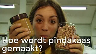 Hoe wordt pindakaas gemaakt? | Het Klokhuis