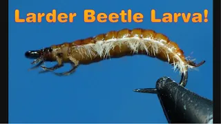 Realistic Larder Beetle Larva!!