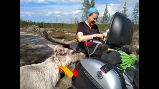 Motorcycle tour in Lapland