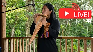 Live Flute Music From the Field and Nature