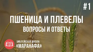 Пшеница и плевелы. Притча Господа Иисуса. Матфея 13 глава.  | Библейская Школа Маранафа